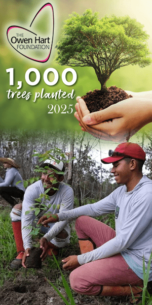 The OHF has helped to plant over 1000 trees