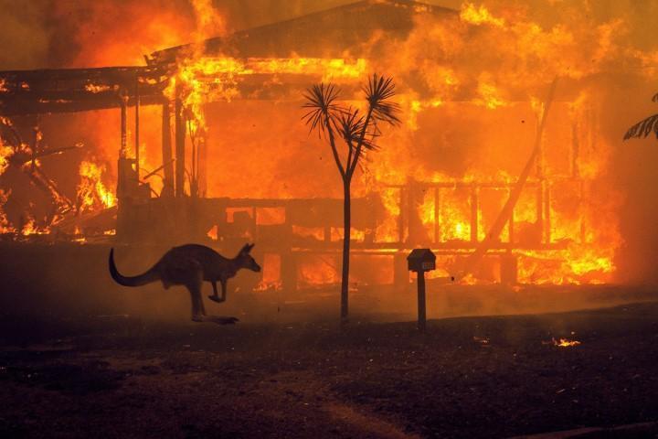 A kangaroo rushes past a burning house in Lake Conjola, Australia, on Tuesday, Dec. 31 2019. (Matthew Abbott/The New York Times)