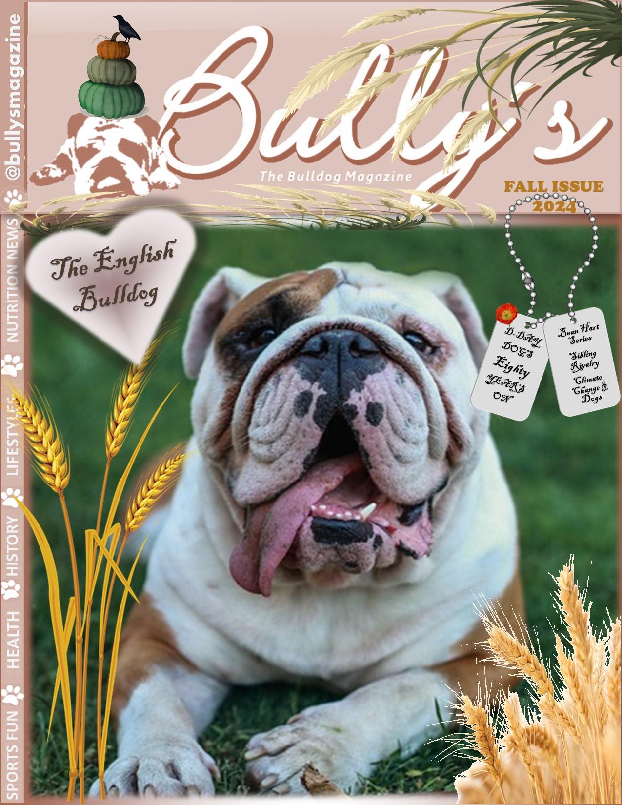 Bully’s - The Bulldog Magazine - Bully's Fall