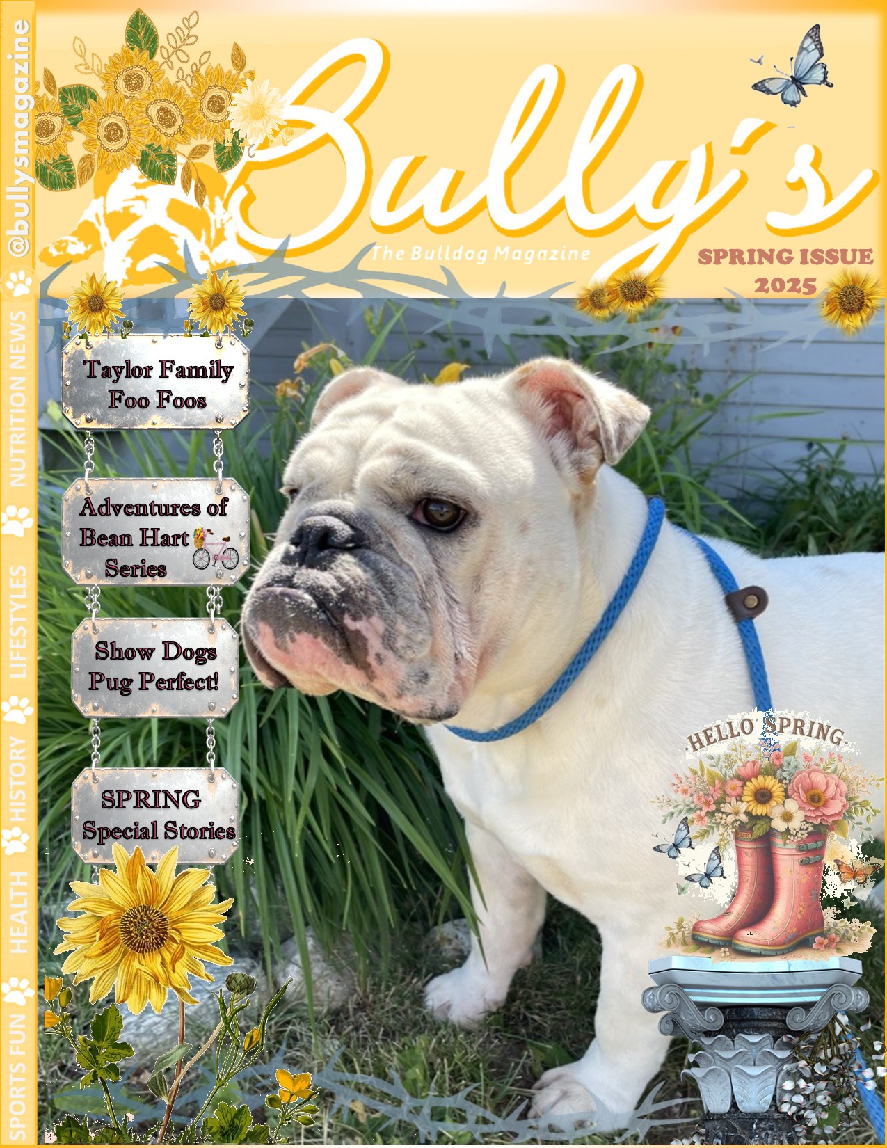 Bully's Spring 2025