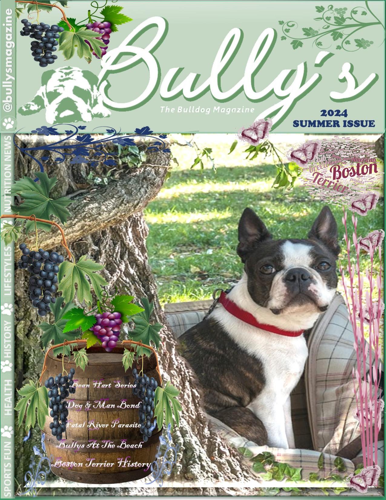 Bully's Magazine - Summer 2024