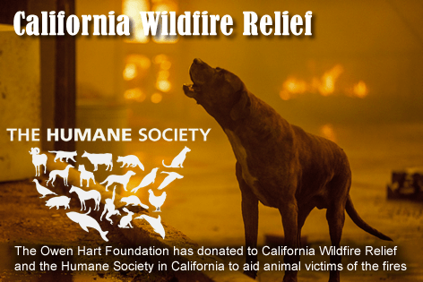 Animal Rescue - California Wildfire Relief