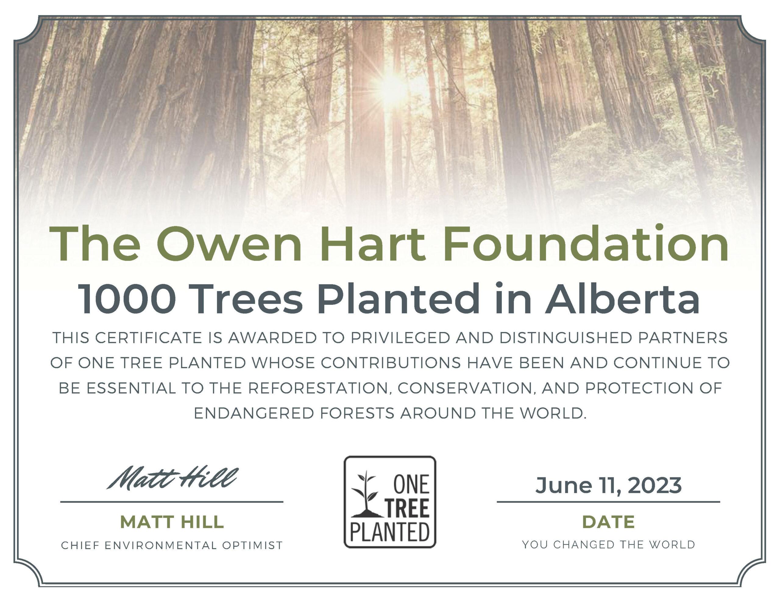 1000 trees planted