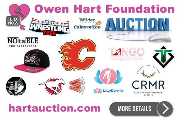 hartauction.com